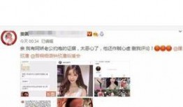 网红夫妻被爆料视频大全,揭秘背后真相与争议