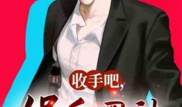 爆料娱乐圈被盗的小说,揭秘盗版小说背后的秘密风暴