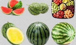 吃瓜网红照片高清图库