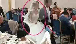 张某琼事件爆料细节视频,揭秘背后惊人细节与真相