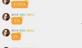 娱乐吃瓜酱谐音歌词大全,揭秘谐音歌词背后的趣味与智慧