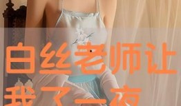 夜夜在线网站观看,揭秘网络直播的魅力与挑战