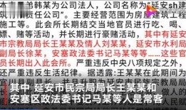 匿名官员爆料视频大全集,视频大全集深度解析