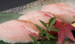 日料刺身爆料视频大全,独家爆料视频大全