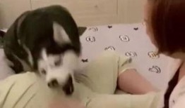 哈哥被爆料视频