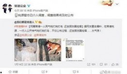 被网友爆料后的新闻,揭秘事件背后真相