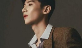 路人爆料白敬亭视频大全,路人视角下的精彩瞬间