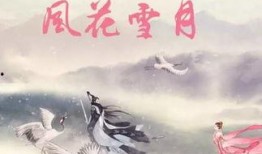 风花雪月在线观看,穿越时空的浪漫邂逅