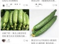 黄瓜的爆料视频在哪看,揭秘热门视频观看途径