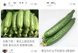 黄瓜的爆料视频在哪看,揭秘热门视频观看途径
