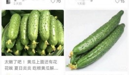 黄瓜的爆料视频在哪看,揭秘热门视频观看途径