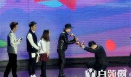 粉丝下跪爆料事件视频大全,揭秘娱乐圈幕后真相