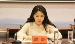 戴璐案件谁爆料的啊视频,真相背后谁在发声？