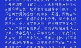 南京导游爆料视频,揭秘古都背后的故事与秘密