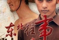 东北往事之黑道风云20年全集在线观看,揭秘黑道风云，重温传奇岁月