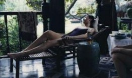 河北摄影师爆料视频,震撼视频背后的真实瞬间