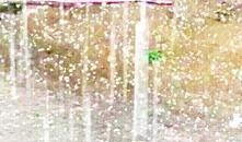 冰雹新闻爆料,多地农作物受损，紧急救援行动展开