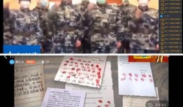 英雄事迹爆料大全视频下载,视频下载背后的感人瞬间