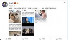 娱乐圈爆料人微博