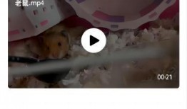 猪头八卦爆料怎么做视频,揭秘视频制作背后的秘密