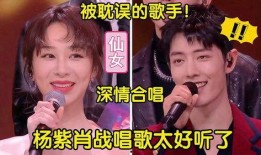 演员歌手爆料视频,明星爆料视频背后的真实故事