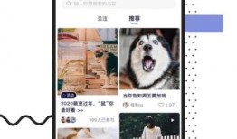 feed 在线观看,在线观看的全新体验之旅