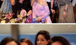 香港名媛在线观看,在线揭秘时尚圈璀璨明珠