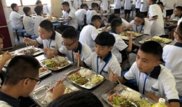 遂宁食堂爆料事件始末视频,真相与反思