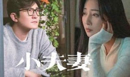 网红夫妻被爆料视频大全,揭秘背后真相与争议