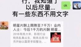 张恒爆料狗狗视频全集,狗狗视频全集揭秘，情感纠葛引热议
