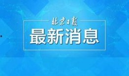 网友爆料新队伍视频,网友热议，实力派集结引期待