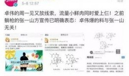 卓伟爆料黄景瑜视频,卓伟独家爆料引发热议