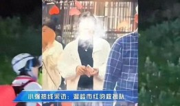 姑娘爆料细节完整版视频,揭秘完整版视频背后的惊人真相