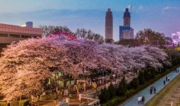 抖音最新吃瓜爆料入口是真的吗,揭秘真相还是虚假传闻？