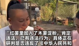 东北食品爆料事件真相视频,揭秘网络谣言背后的真相