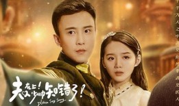 少帅在线观看免费观看,免费在线观看，重温传奇人生