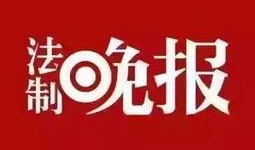 威县爆料最新新闻头条号,聚焦热点事件，揭秘幕后真相