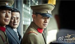 少帅在线观看免费观看,免费在线观看，重温传奇人生