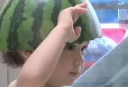 娱乐吃瓜文案搞笑表情包,带你领略搞笑瞬间