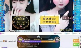 老李爆料视频完整版,完整版事件始末深度解析