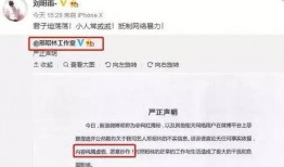 爆料娱乐圈邢昭林,揭秘明星背后的故事