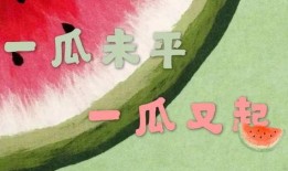 娱乐瓜都是在哪里吃的,明星们的“娱乐瓜”聚集地大揭秘