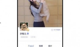 feed 在线观看,在线观看的全新体验之旅