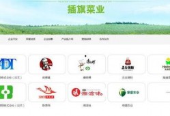 插旗菜业爆料视频最新,揭秘行业黑幕，品质革命再起波澜