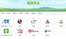 插旗菜业爆料视频最新,揭秘行业黑幕，品质革命再起波澜
