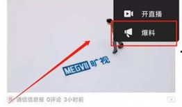 狗仔爆料怎么赚钱的视频,揭秘如何通过视频内容轻松赚钱
