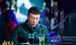 先生  在线观看,揭秘先生的传奇人生