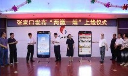 新闻爆料政务,揭秘政府新动向与政策调整