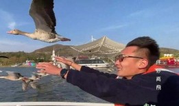 新闻爆料临沂大雁哥,守护生态家园的环保使者