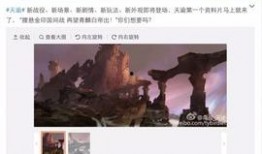 鸟叔最新爆料视频大全,揭秘幕后故事与精彩瞬间